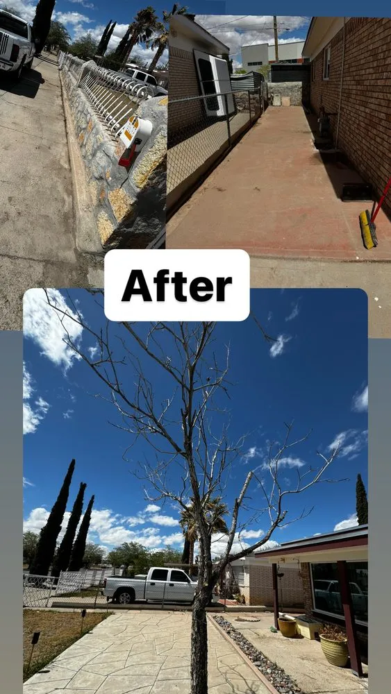 Reliable lawn care service for residential properties across El Paso, TX - Chavez Landscaping Services