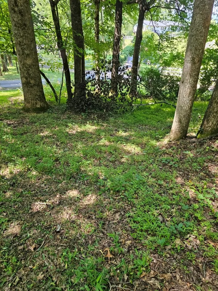 Professional landscaping services experts serving Franklin, NC - Chavez Landscaping Services