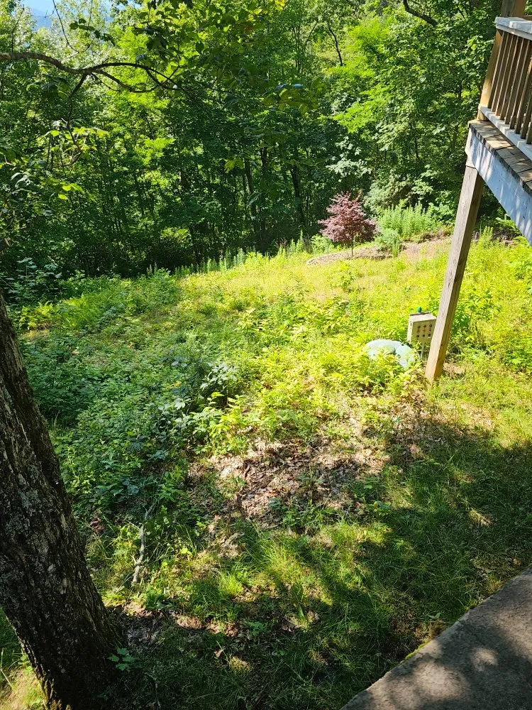 Professional landscape design in Franklin, NC - Chavez Landscaping Services