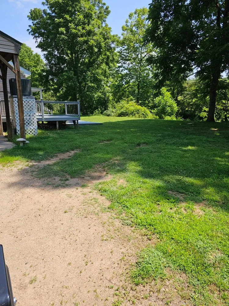 Local yard cleanup service in Franklin, NC - Chavez Landscaping Services