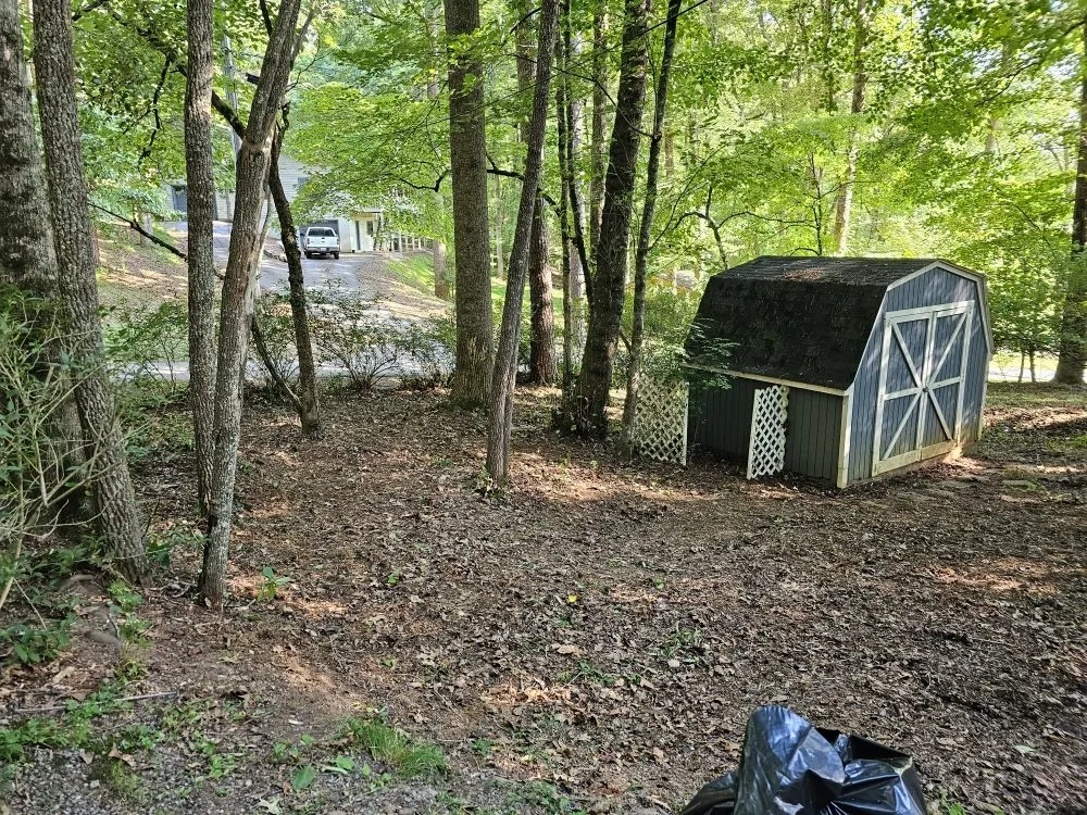 Custom yard cleanup service in Franklin, NC - Chavez Landscaping Services