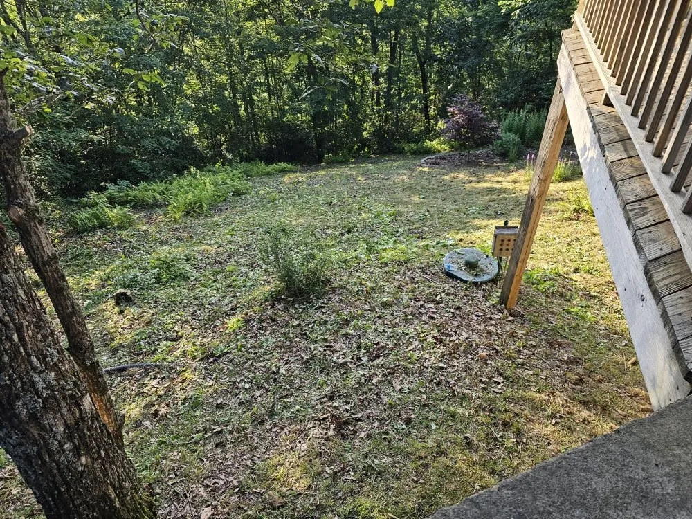 Expert lawn care service experts serving Franklin, NC - Chavez Landscaping Services