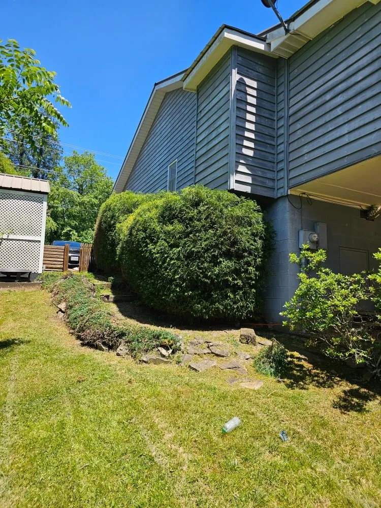 Affordable yard cleanup service for outdoor upgrades across Franklin, NC - Chavez Landscaping Services