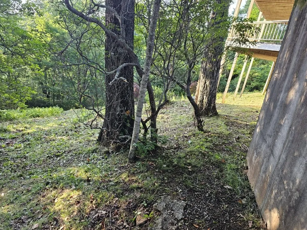 Professional lawn care service in Franklin, NC by Chavez Landscaping Services