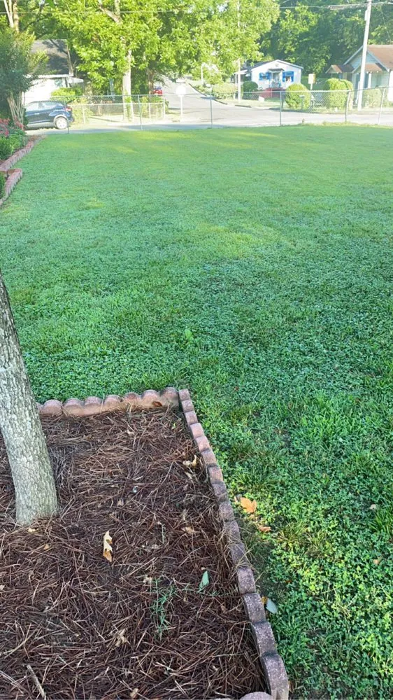 Professional landscaping services for residential properties in Rome, GA by Chavez Landscaping Services