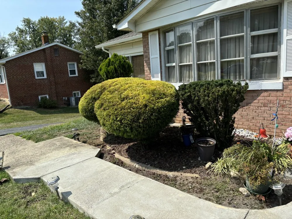 Professional landscape installation in Temple Hills, MD - Chavez Landscaping services