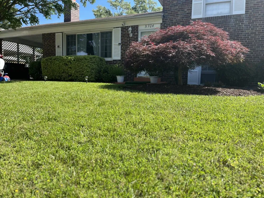 Top-rated yard cleanup service in Temple Hills, MD - Chavez Landscaping services