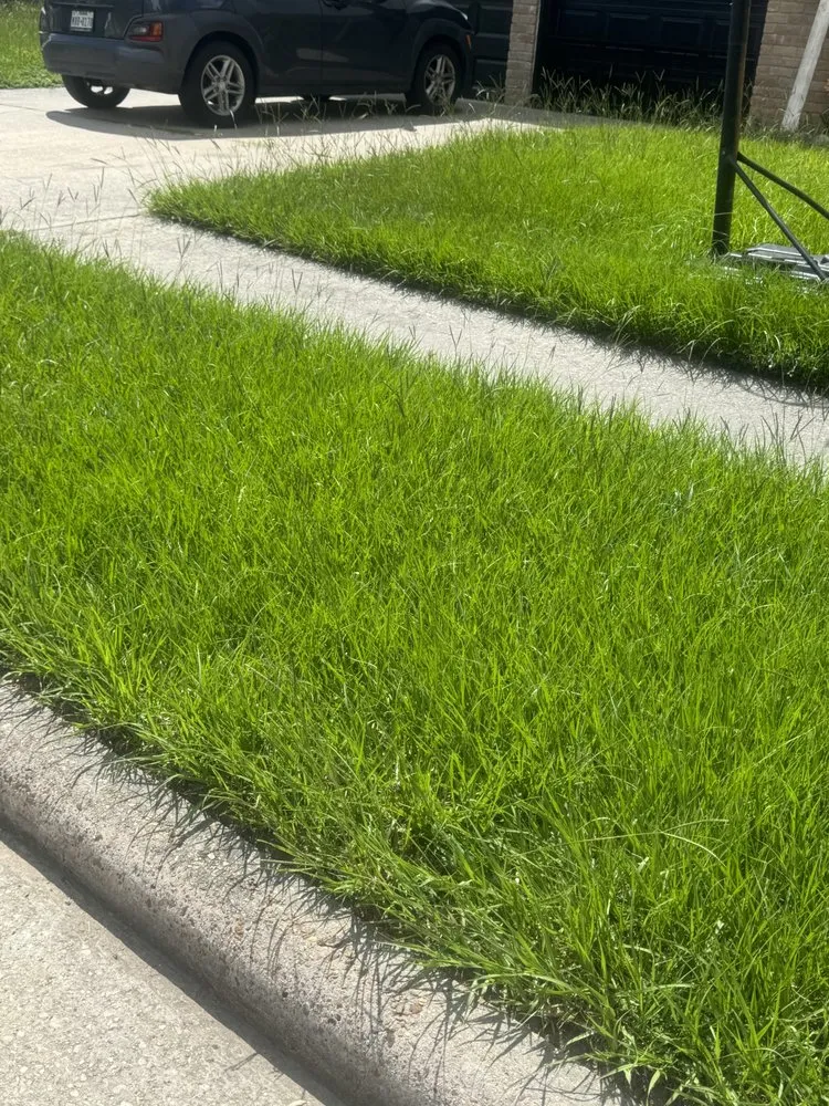 Top-rated landscape installation experts serving The Woodlands, TX - Chavez Landscaping