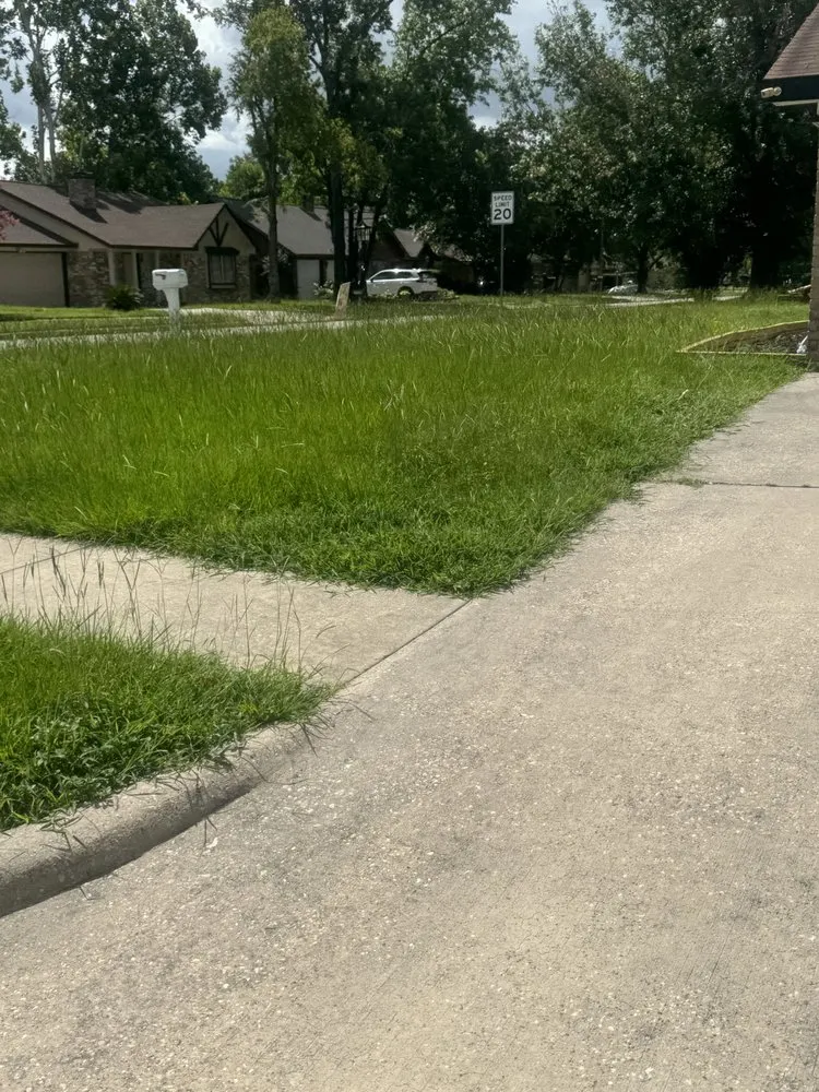 Affordable lawn mowing service in The Woodlands, TX - Chavez Landscaping