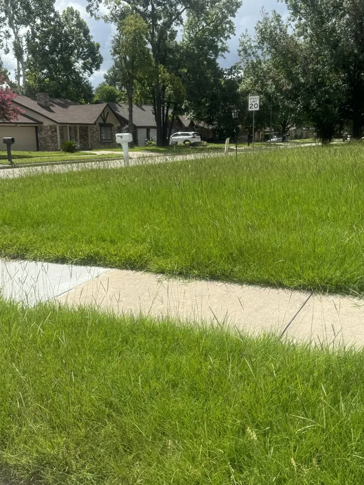 Custom lawn mowing service in The Woodlands, TX by Chavez Landscaping