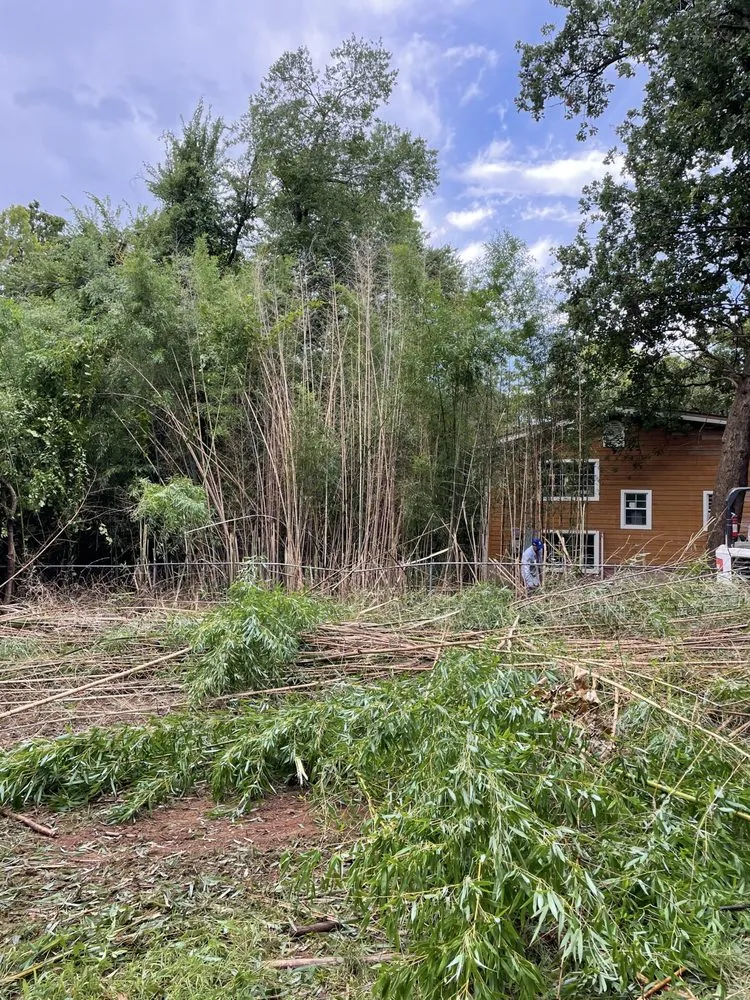 Expert residential landscaping in Oklahoma City, OK - Chavez Lawn & Fence