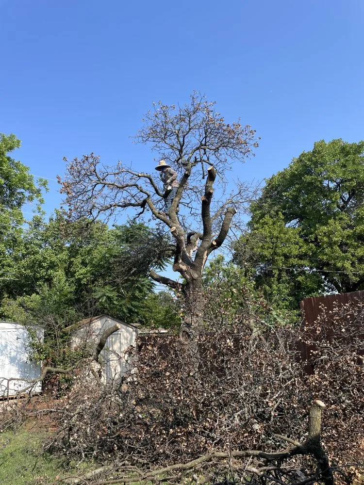 Affordable yard maintenance near you in Oklahoma City, OK by Chavez Lawn & Fence