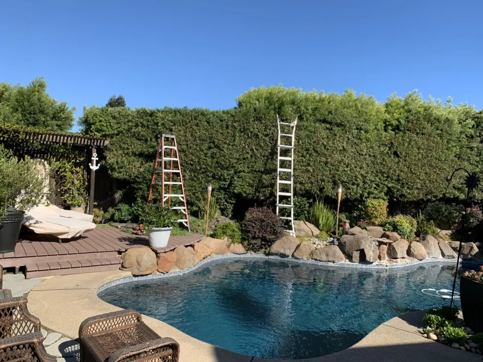 Professional landscape design for year-round maintenance across Lodi, CA - Chavez Lawn Care