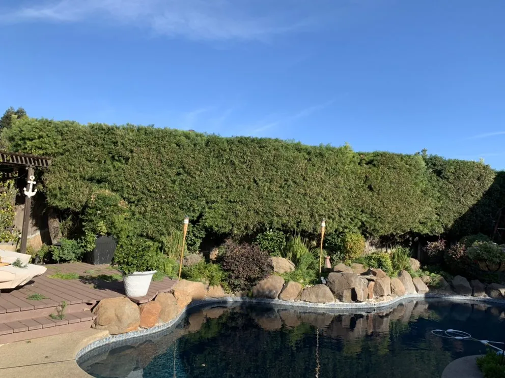 Custom outdoor landscaping experts serving Lodi, CA - Chavez Lawn Care