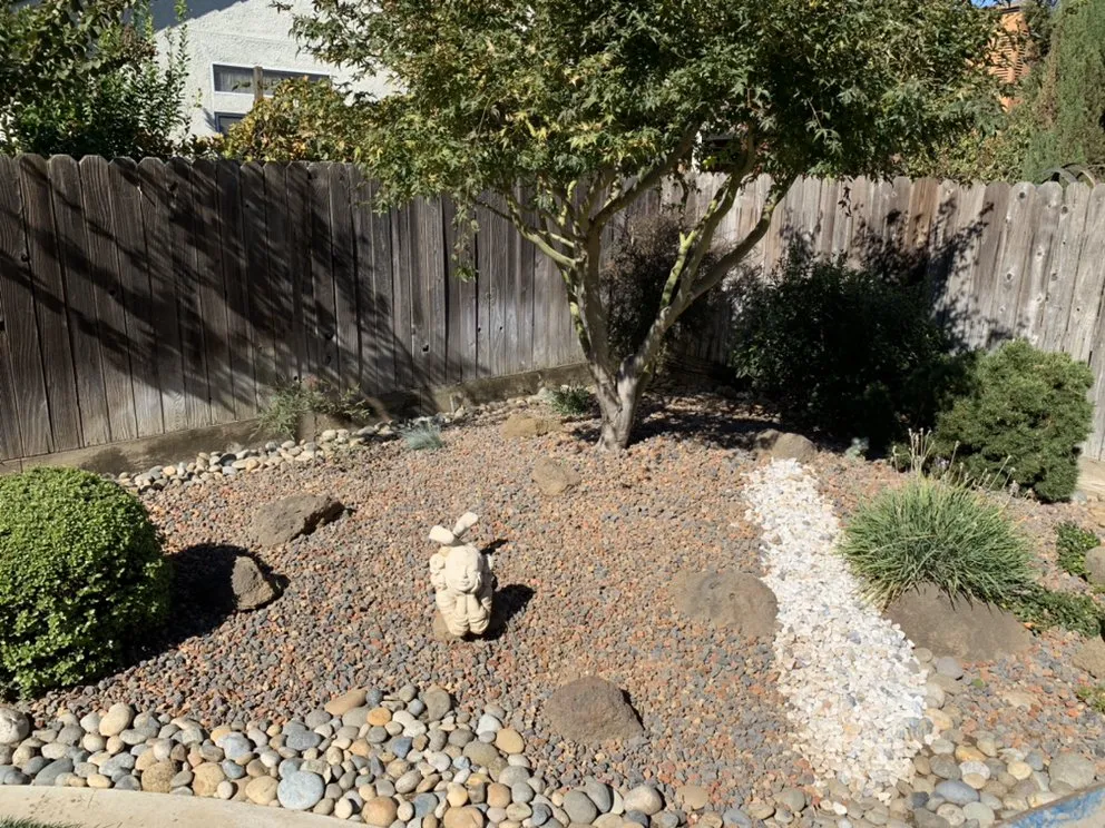 Trusted landscape installation with custom design in Lodi, CA by Chavez Lawn Care