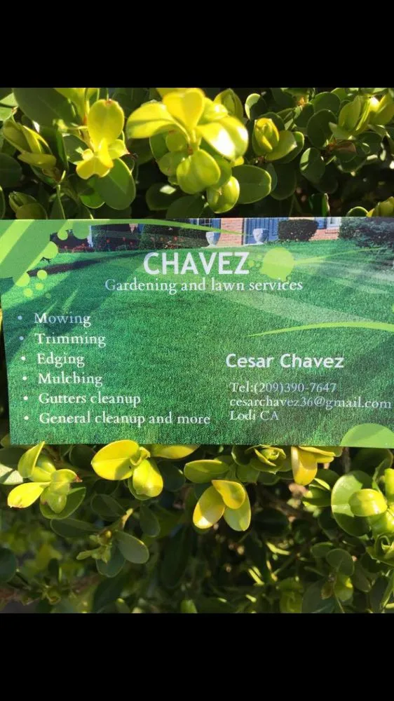 Expert landscape installation with custom design across Lodi, CA - Chavez Lawn Care