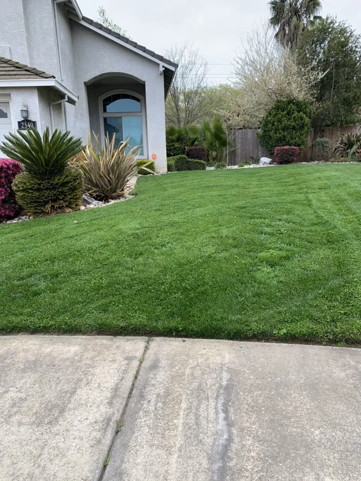 Top-rated landscape design in Lodi, CA by Chavez Lawn Care