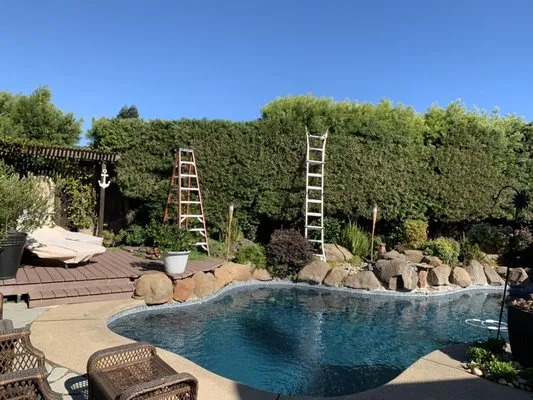 Chavez Lawn Care Logo