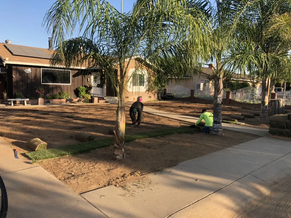 Expert yard cleanup service in Woodlake, CA - Chavez Lawn Care