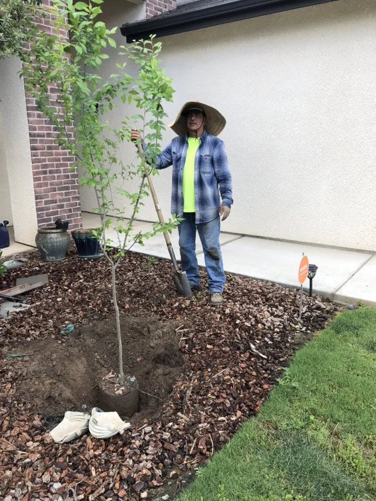 Trusted landscape design in Woodlake, CA by Chavez Lawn Care