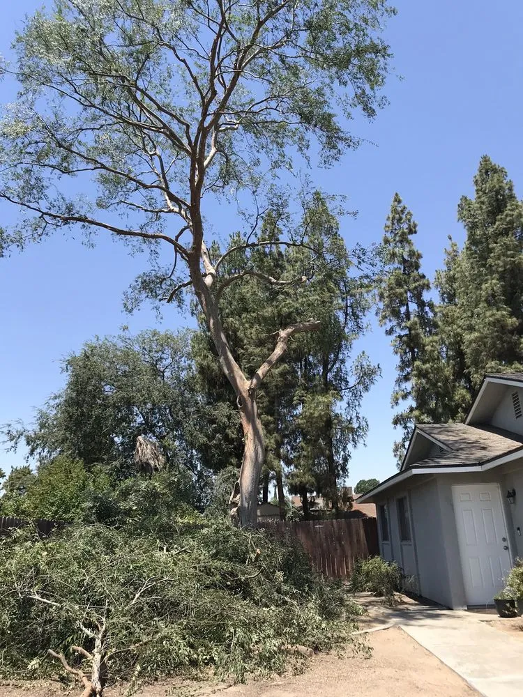 Top-rated yard cleanup service in Woodlake, CA - Chavez Lawn Care