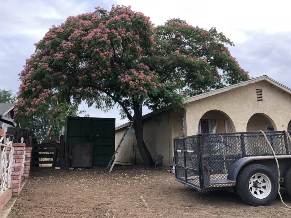 Trusted landscaping services experts serving Woodlake, CA - Chavez Lawn Care