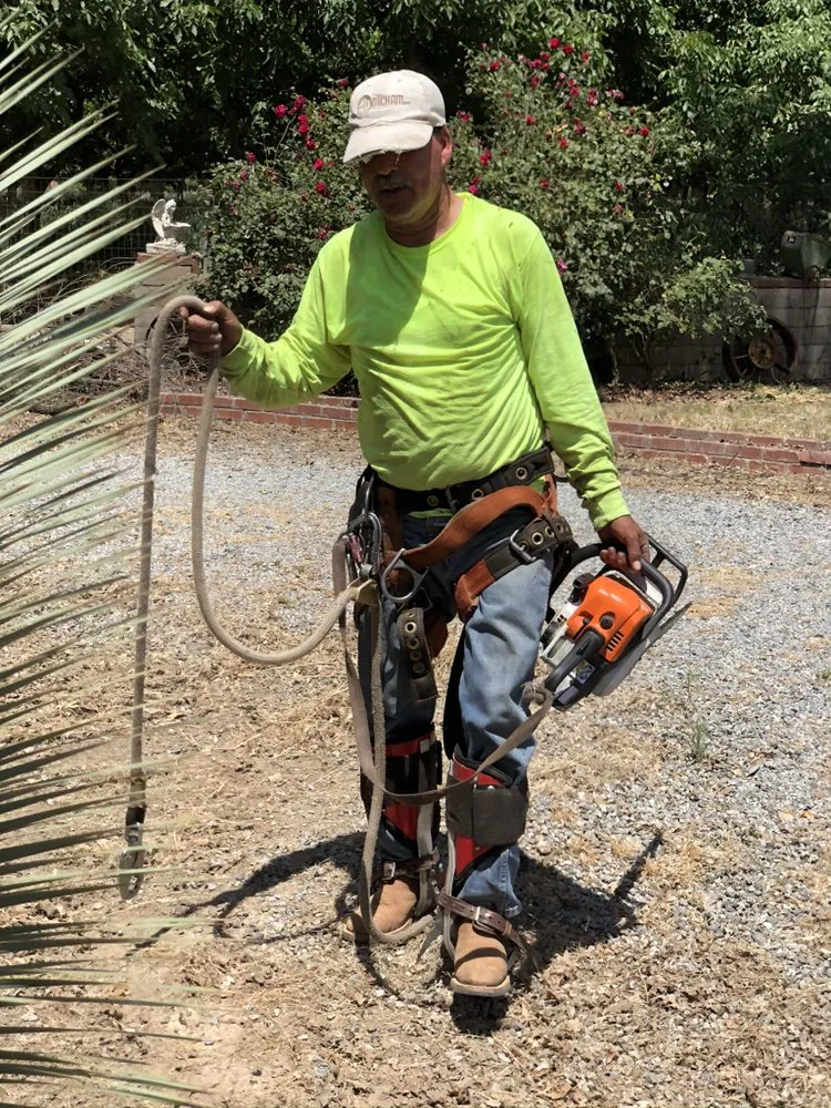 Trusted landscape installation in Woodlake, CA - Chavez Lawn Care