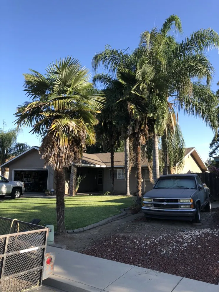 Trusted landscaping services in Woodlake, CA - Chavez Lawn Care