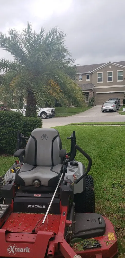 Professional yard cleanup service in Plant City, FL by Chavez Lawn Service And Landscaping