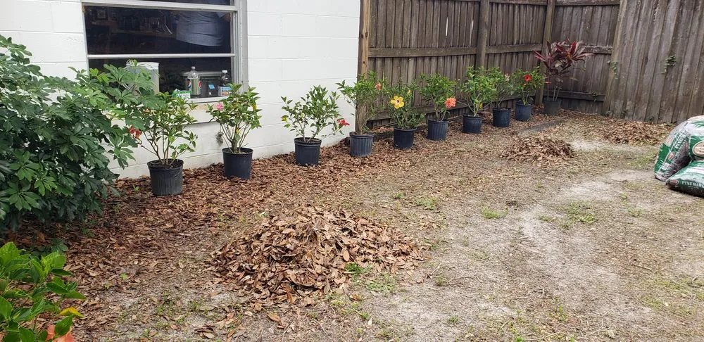 Professional yard maintenance in Plant City, FL - Chavez Lawn Service And Landscaping