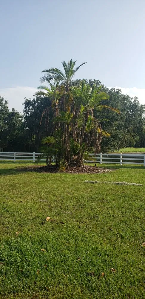 Professional garden landscaping in Plant City, FL - Chavez Lawn Service And Landscaping