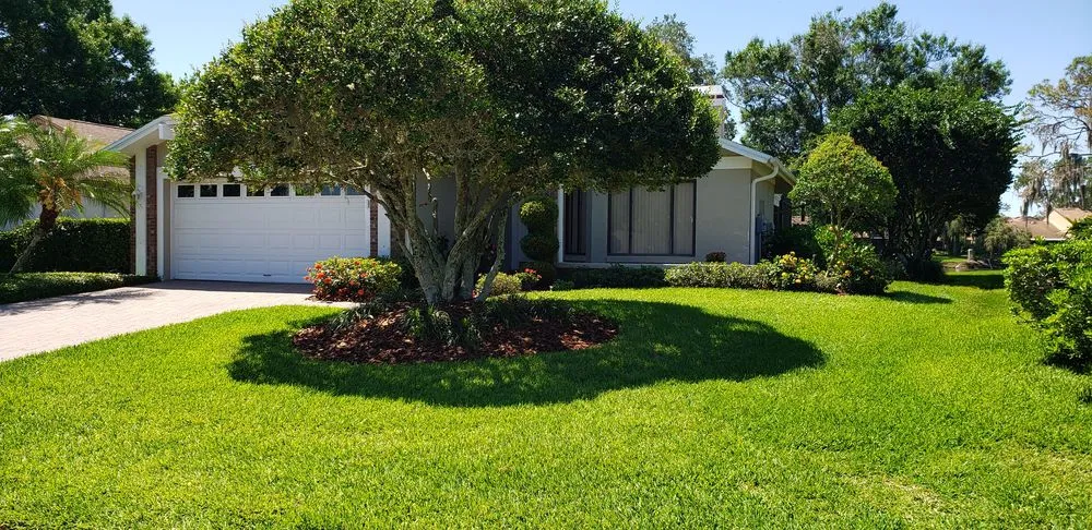 Reliable yard cleanup service experts serving Plant City, FL - Chavez Lawn Service And Landscaping