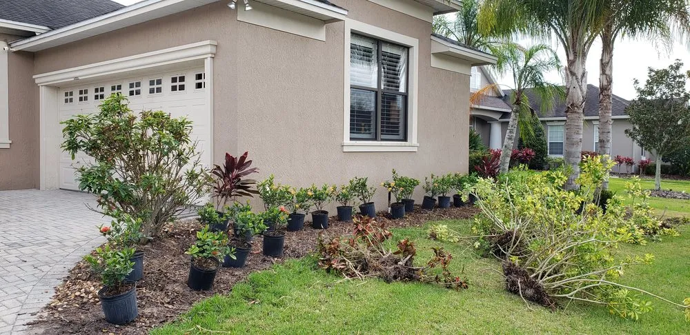 Local landscaping services near you across Plant City, FL - Chavez Lawn Service And Landscaping