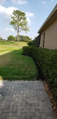 Chavez Lawn Service And Landscaping Logo