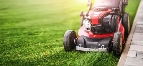 Reliable yard maintenance in San Antonio, TX - Chavez Lawn Services