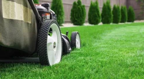 Custom landscape installation experts serving San Antonio, TX - Chavez Lawn Services