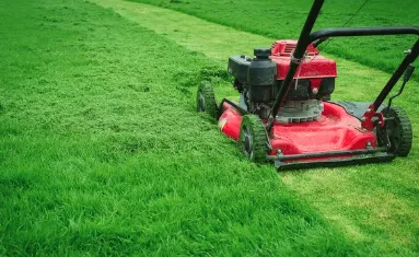 Top-rated lawn care service in San Antonio, TX - Chavez Lawn Services