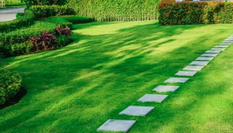 Custom landscape installation for beautiful yards in San Antonio, TX by Chavez Lawn Services