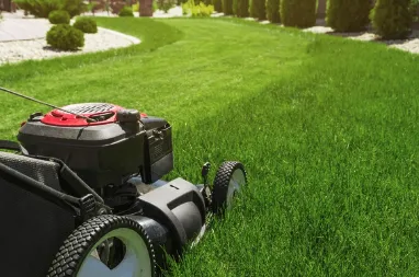 Affordable yard cleanup service near you across San Antonio, TX - Chavez Lawn Services