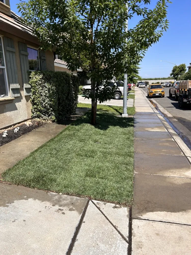 Top-rated yard maintenance in Modesto, CA by Chavez Maintenance & Landscaping