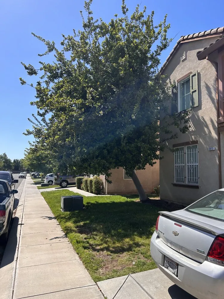 Custom landscaping services in Modesto, CA by Chavez Maintenance & Landscaping