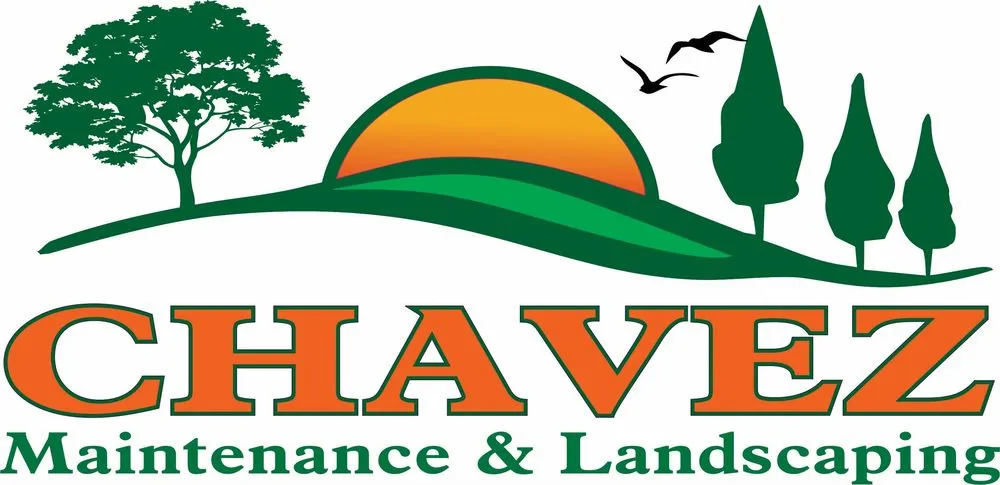 Reliable landscaping services with custom design in Modesto, CA by Chavez Maintenance & Landscaping