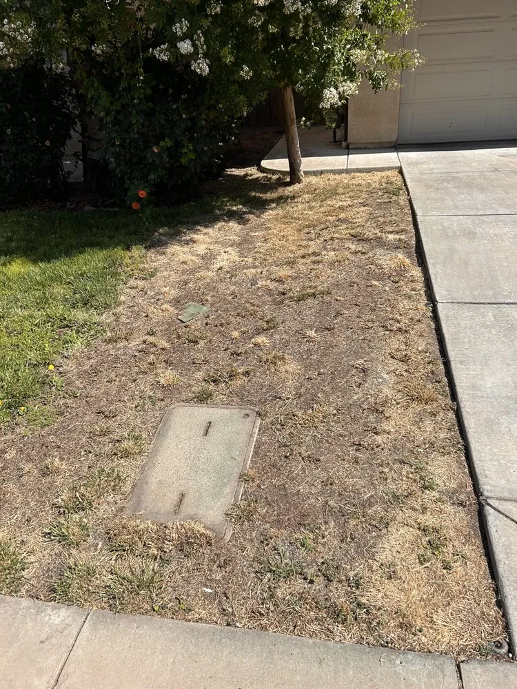 Custom lawn care service in Modesto, CA by Chavez Maintenance & Landscaping