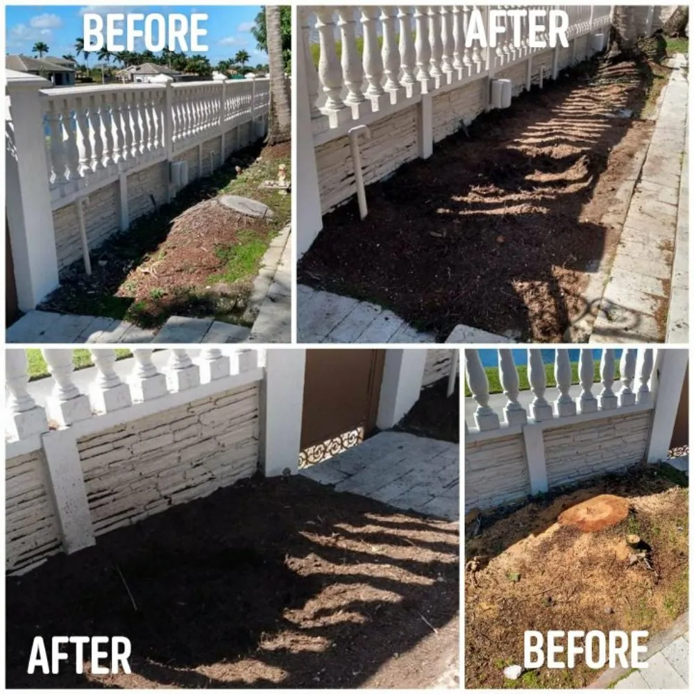 Expert outdoor landscaping experts serving Homestead, FL - Chavez-Perales Landscaping