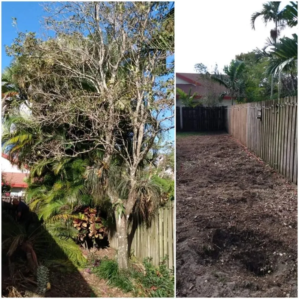 Reliable landscape installation in Homestead, FL by Chavez-Perales Landscaping