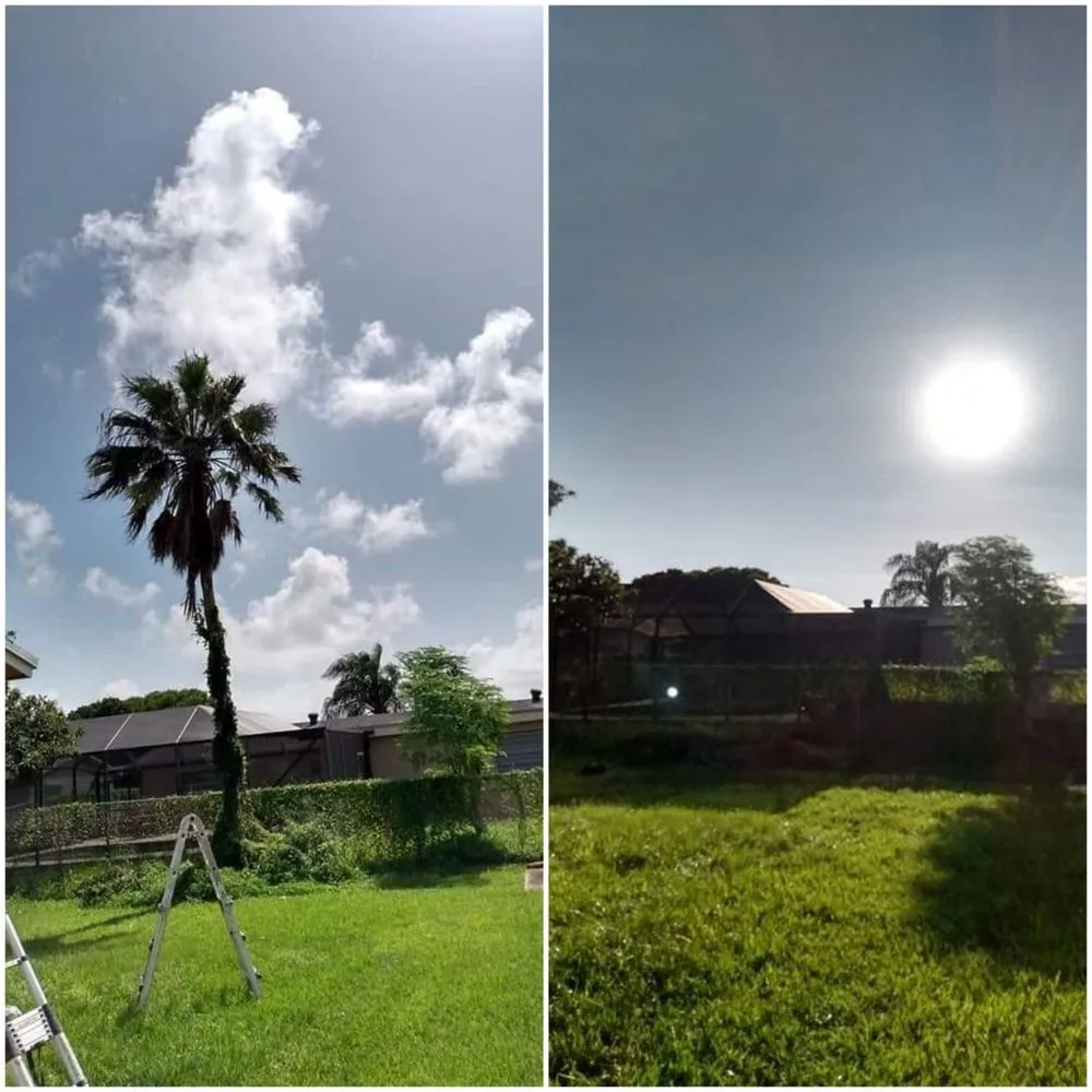 Local outdoor landscaping in Homestead, FL by Chavez-Perales Landscaping