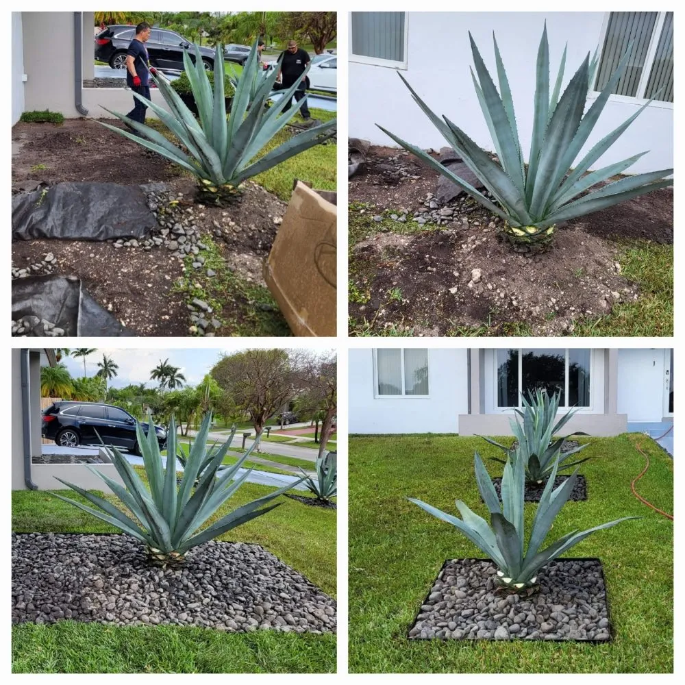 Affordable lawn mowing service for beautiful yards across Homestead, FL - Chavez-Perales Landscaping