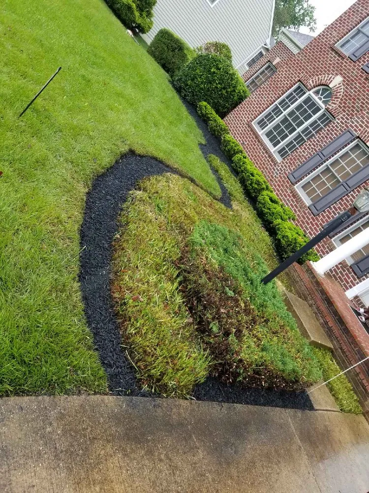 Trusted residential landscaping in Laurel, MD by Chavez Tree Service