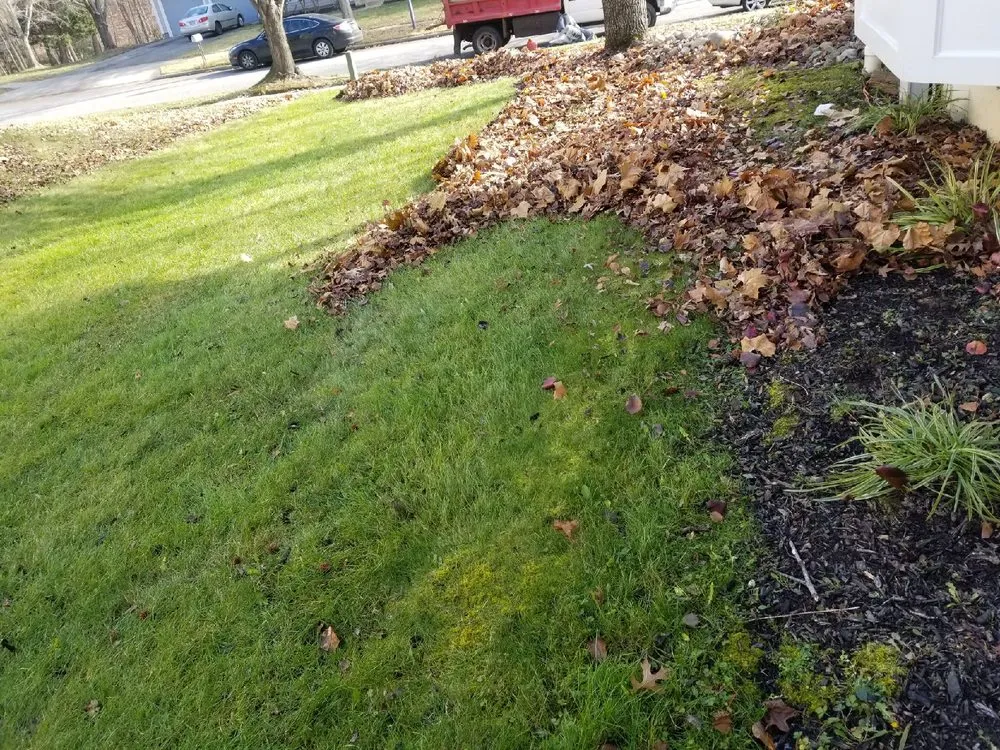 Expert lawn mowing service experts serving Laurel, MD - Chavez Tree Service