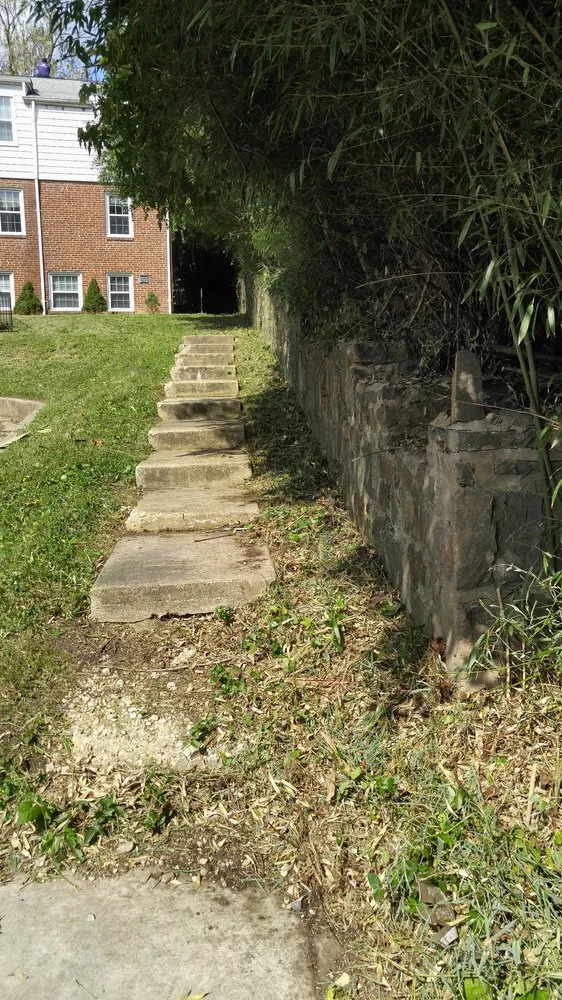 Expert yard maintenance with custom design across Laurel, MD - Chavez Tree Service